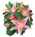 I AM Lily 350pc Puzzle