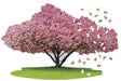 I AM Cherry Blossom 1000pc Puzzle