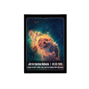 Bicycle - Stargazer 203