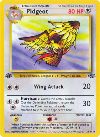Pidgeot (24) (24)/64 Rare 1st Edition