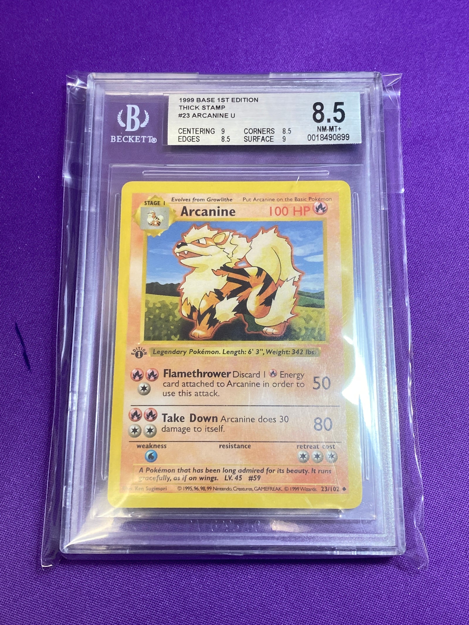 Beckett 8.5 Arcanine 1st Edition #23 (Cabinet)