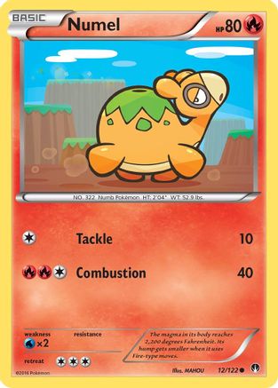 Numel (12)/122 Common