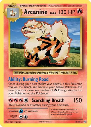 Arcanine (18)/108 Rare Reverse Holofoil