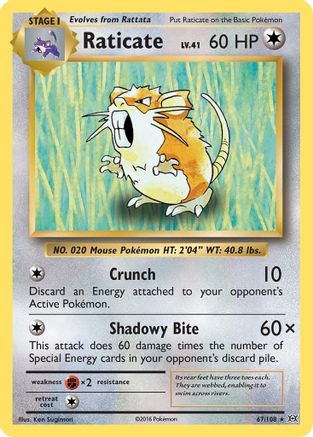Raticate (67)/108 Rare