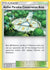 Aether Paradise Conservation Area (116)/145 Uncommon Reverse Holofoil