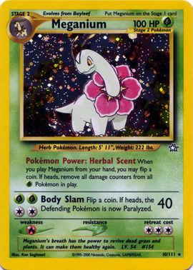 Meganium (10) (10)/111 Holo Rare Unlimited Holofoil