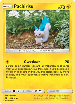 Pachirisu (80)/214 Common Reverse Holofoil