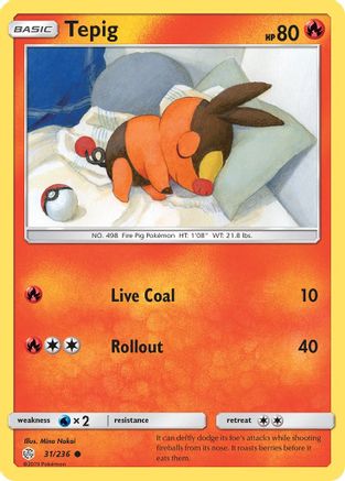 Tepig (31)/236 Common Reverse Holofoil