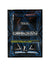 2025 Panini Obsidian Soccer