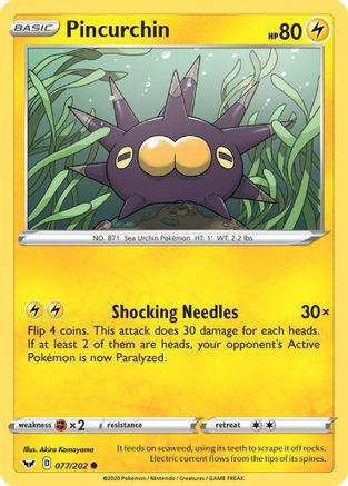 Pincurchin (77)/202 Common
