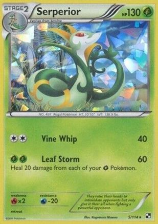 Serperior - 5/114 (Cracked Ice Holo) (5) Holo Rare Holofoil