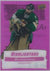 Marc Andre Fleury [Purple] #HL-14 2022 Upper Deck Highlighters (cabinet-NM)