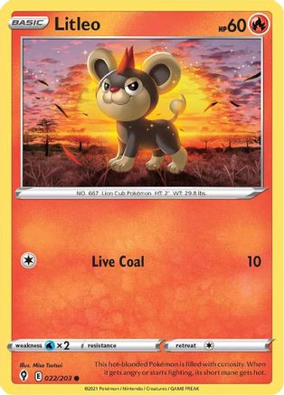 Litleo (22)/203 Common