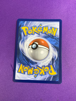 Cynthia's Garchomp ex - 232/182 Special Illustration Rare Holofoil (Cabinet-NM)