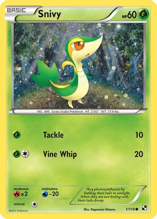 Snivy - 1/114 (Cosmos Holo) (1) Promo Holofoil