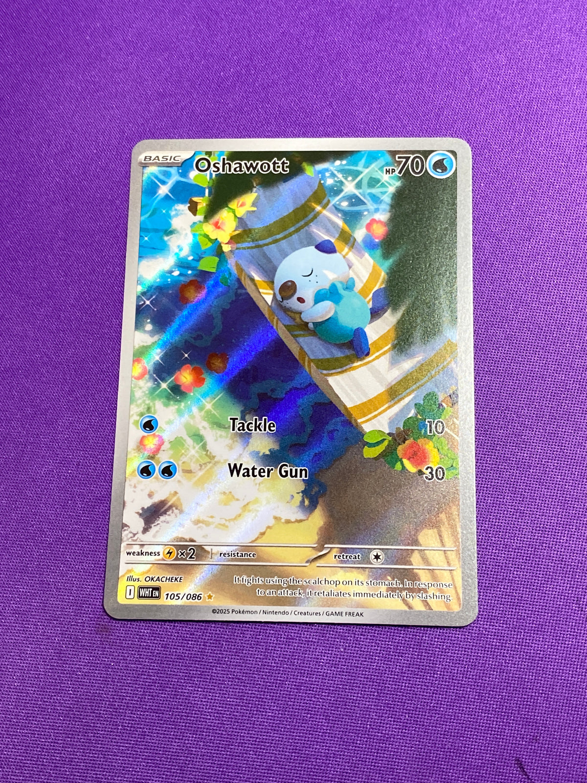 Oshawott - 105/086 Illustration Rare Holofoil (Cabinet-NM)