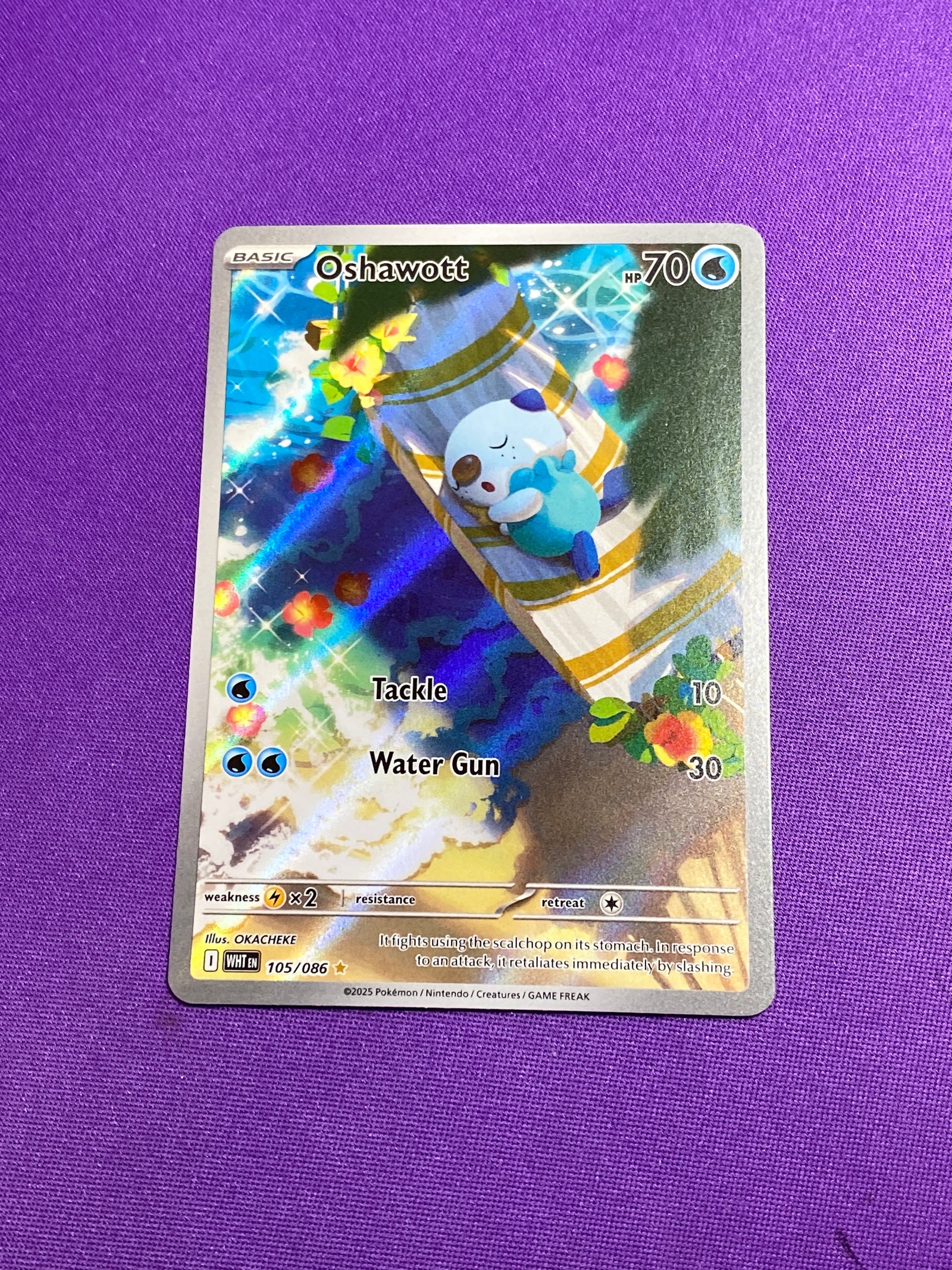 Oshawott - 105/086 Illustration Rare Holofoil (Cabinet-NM)