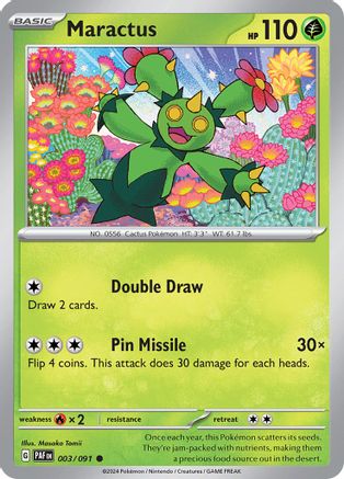 Maractus (3) Common