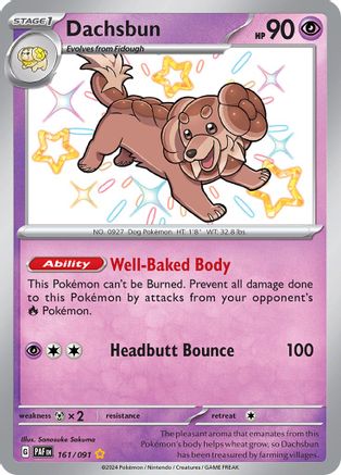 Dachsbun - 161/091 (161) Shiny Rare Holofoil