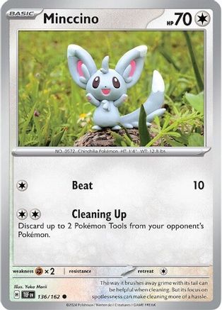 Minccino - 136/162 (136) Common