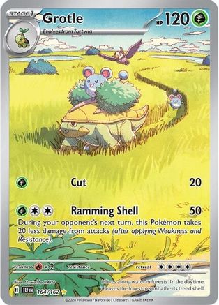 Grotle - 164/162 (164) Illustration Rare Holofoil