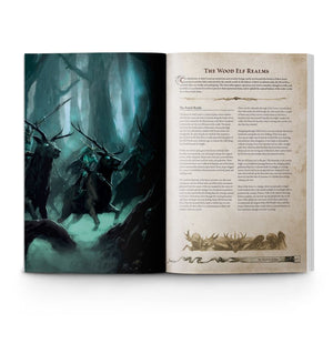 Warhammer - The Old World: Army Lists For The Forces of Good; Forces of Fantasy