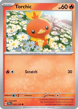 Torchic (22) Common
