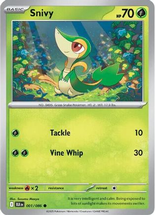 Snivy (1) Common Reverse Holofoil