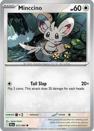 Minccino (75) Common