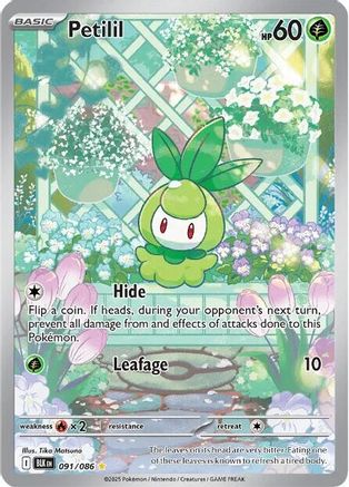 Petilil - 091/086 (91) Illustration Rare Holofoil