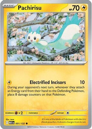 Pachirisu (51) Common