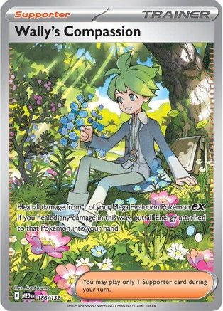 Wally's Compassion - 186/132 (186) Special Illustration Rare Holofoil