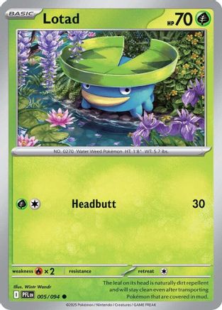 Lotad (5) Common