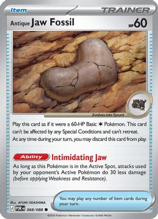 Antique Jaw Fossil (68) Common