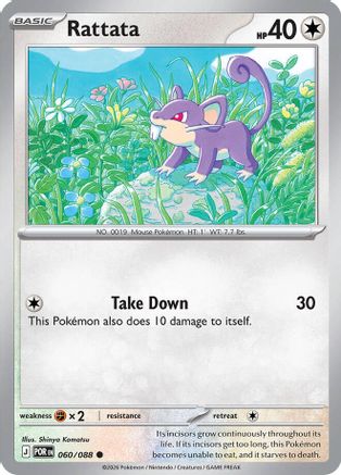 Rattata (60) Common
