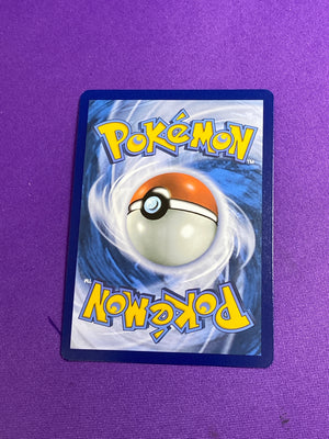 Perrin - 220/167 Special Illustration Rare Holofoil (Cabinet-NM)