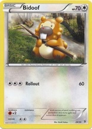 Bidoof (29)/39 Common