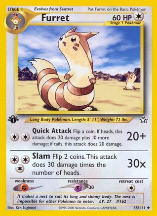 Furret (35)/111 Uncommon 1st Edition