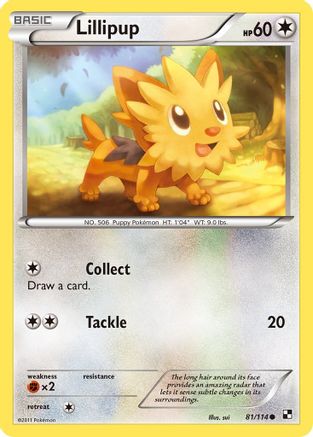 Lillipup (81) (81)/114 Common Reverse Holofoil