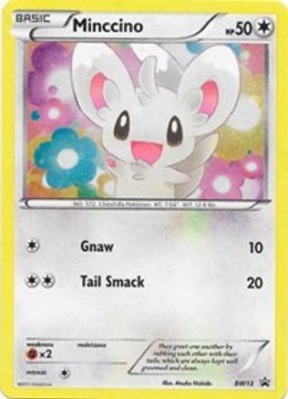 Minccino - BW13 (Cosmos Holo) (BW13)/101 Promo Holofoil
