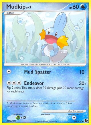 Mudkip (80)/106 Common