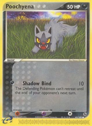 Poochyena - 65/109 (65)/109 Common Reverse Holofoil