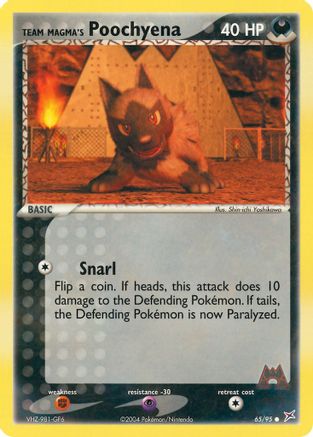 Team Magma's Poochyena - 65/95 (65)/95 Common Reverse Holofoil