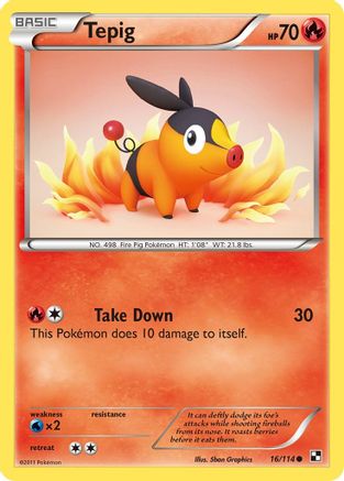 Tepig (16) (16)/114 Common
