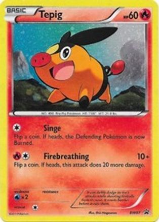 Tepig - BW07 (BW07)/101 Promo Holofoil