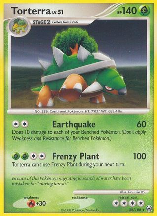Torterra (30)/100 Rare Reverse Holofoil