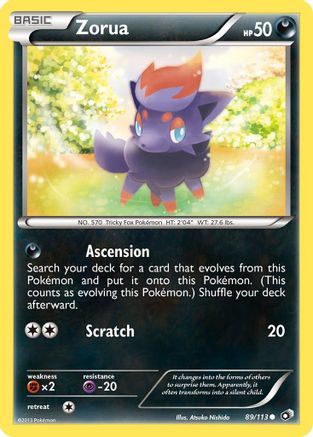 Zorua (89)/113 Common