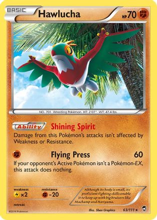 Hawlucha (63)/111 Holo Rare Holofoil