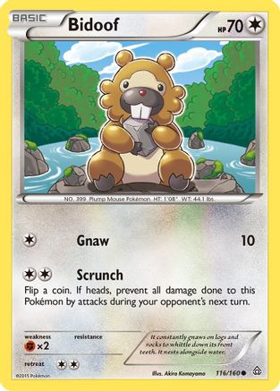 Bidoof (116)/160 Common Reverse Holofoil