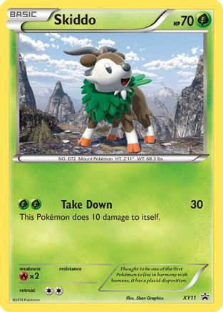 Skiddo - XY11/211 Promo Holofoil